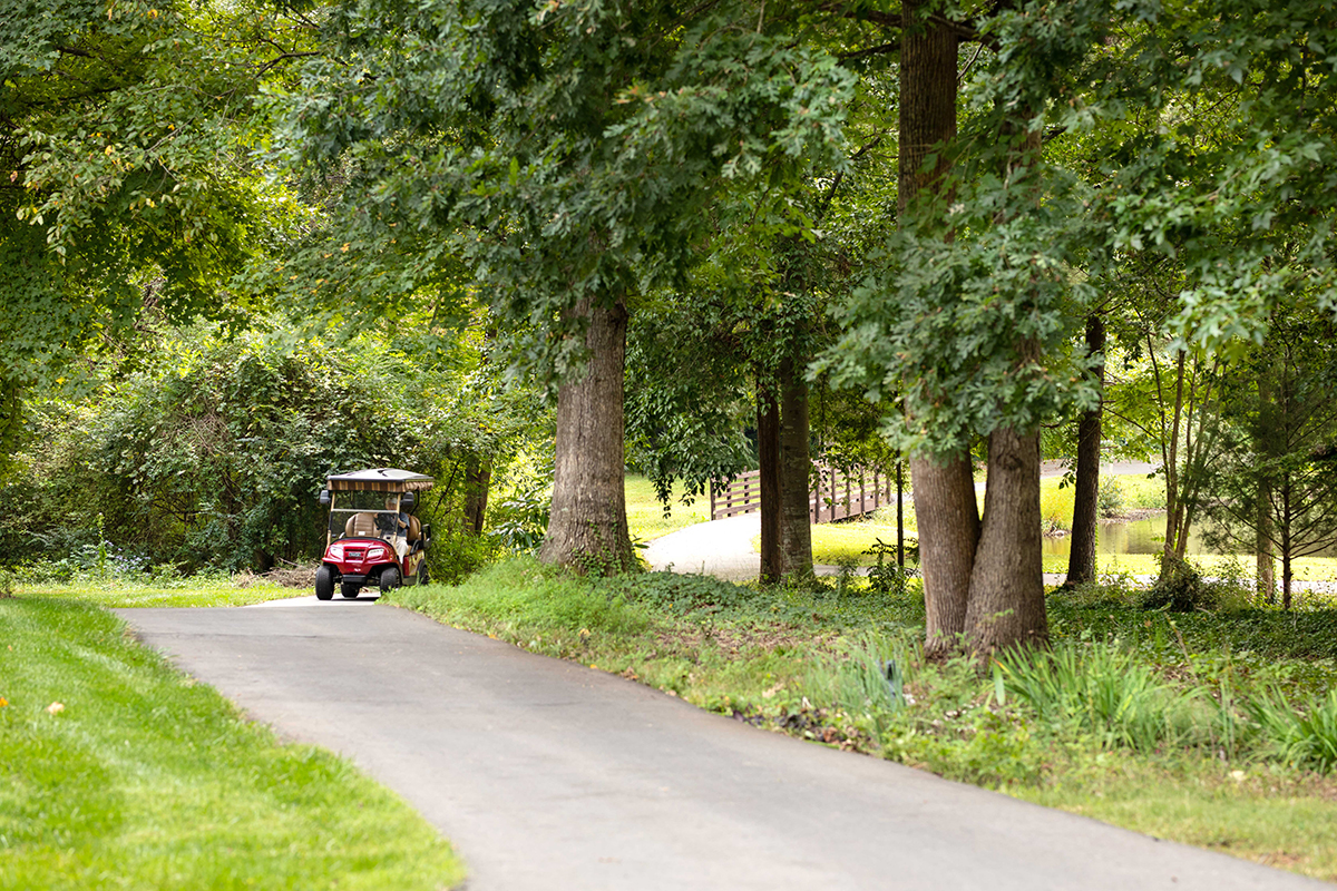 Golf Cart Living